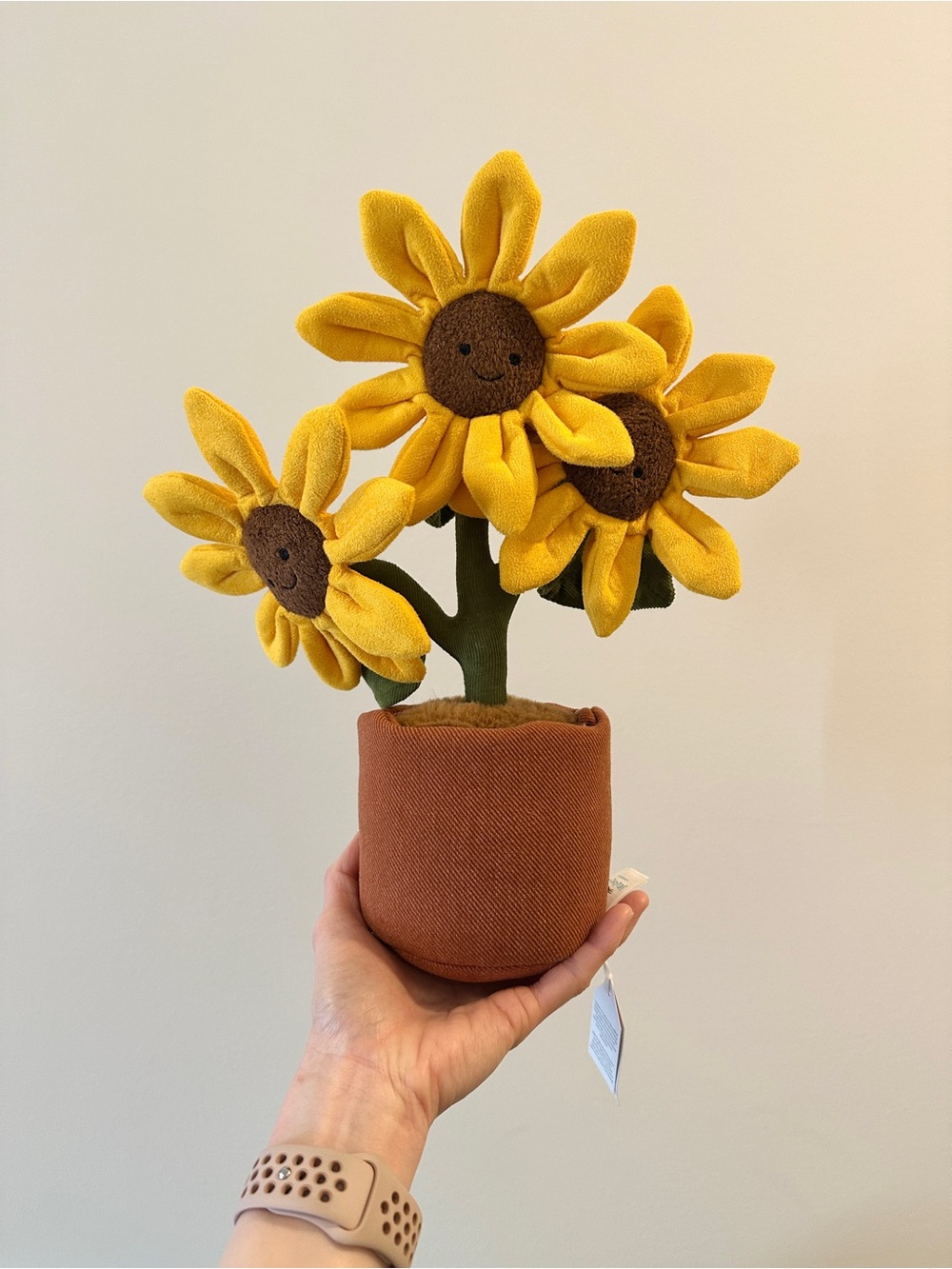 Rare Jellycat Sunflower 🌻